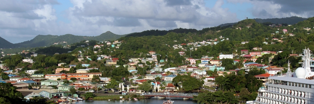 Business For Sale Saint Lucia